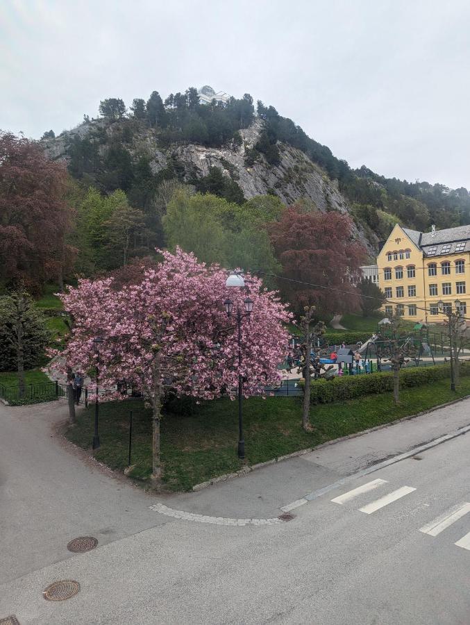 Family Friendly Apartment By The Park In The Very Center Of Ålesund Esterno foto
